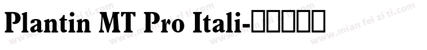 Plantin MT Pro Itali字体转换